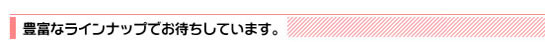 豊富なラインナップでお待ちしております。